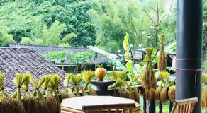 Khuổi Ky Eco Homestay - Image 5