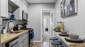 The Philly Zoo Suites - Apartments with Fireplace & Parking Available - Image 5