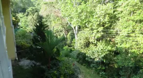 Hantana Forest Reserve Inn - Image 5