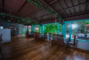 The Jungle Pool - Image 5