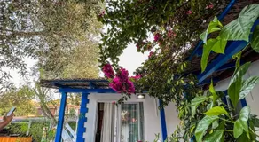 Pineloft Selimiye - Image 4