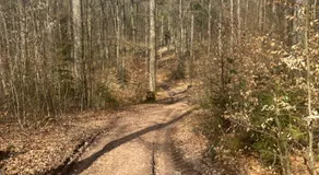 Wald & Wind Natur trifft Moderne - Image 4