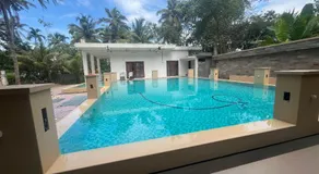 Coconut Garden - Image 3