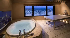 HOTEL & SPA ISLAND (Adult Only) - Image 5