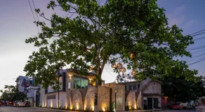 Casa del Arbol - Image 5