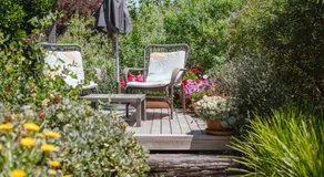 Haumoana Herb Cottage - Image 4