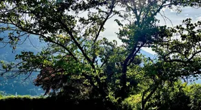 Parirolo B&B - Image 5