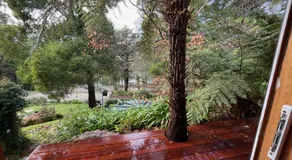Lakeview On Sycamore - Image 5