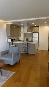 Luxury Hotel Concept Apartment - Image 2