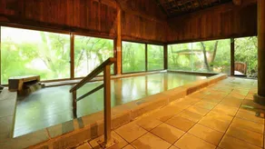 Kinugawa Onsen Hana no Yado Matsuya - Image 4