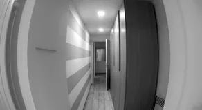 Suite Eleven - Image 4