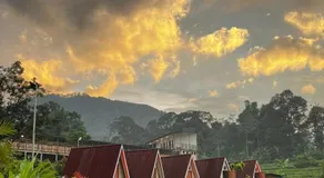 SUWON CAMP - Image 5