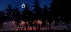Harish Beach Resort - Image 5