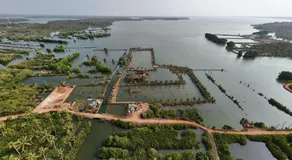 Kandal Theeram Farms - Image 3