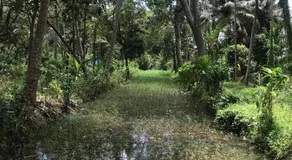 Nerayath Nest Homestay - Image 4