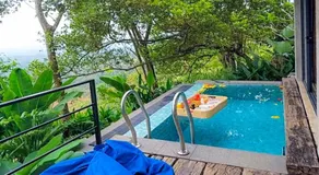 Heliconia Ledge - Image 2