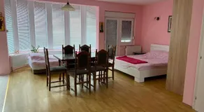 Guest House Trajkovic Jagodina - Image 2