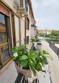 La Casa nel Paesello - Image 2