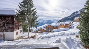 Vieux Valais Heidi - Image 5