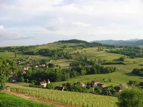 La Maison des Vignes - Image 5