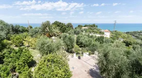 Il Melangolo - Image 5