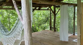 La Maison dans la forêt - Image 2