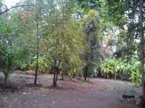 Apulki Beach Resort - Image 3