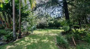 Loulu - Image 5