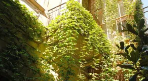 Brody House - boutique hotel - Image 4