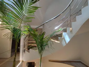 Plaza Rooms - Image 5