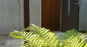 2-room apartment in the house with the SEPARATE ENTRANCE & FREE parking - Image 5