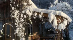 Naturoase Säntisblick-Auszeit am Wald und Bach - Image 5