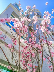 林居民宿 - Image 3