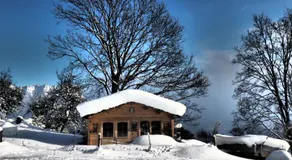 Oberstockinghof - Image 5
