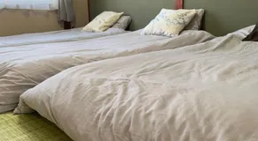 Cozy Penguin House Bibai - Image 2
