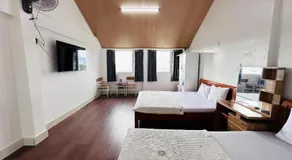Mai Vàng - Image 5