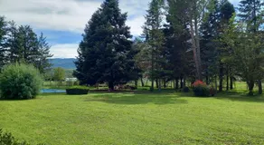 Casa Verde - Image 5