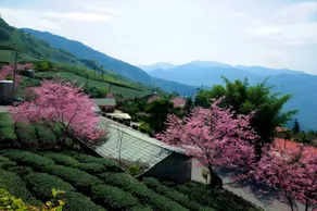 Shan Ming Show B&B - Image 4