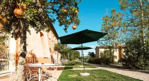La Beccanina stilvolles Appartement Melograno - Image 4