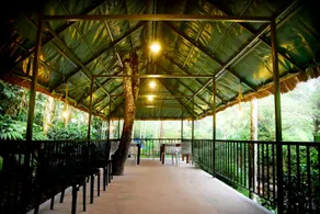 Blue creek - Image 3