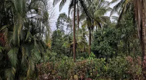 Hasiru Homestay - Image 5