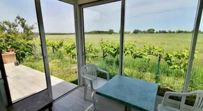 Gîte Bouconne Pibrac - Image 4