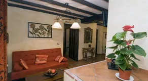 Pitogordo - Image 4