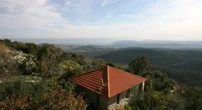 Red and White אדום לבן - Image 3