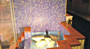 Hotel Continental - Image 5
