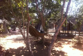 Bananyana Backpackers & Camp - Image 2