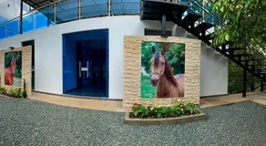 Paraíso Serendipia - Image 3