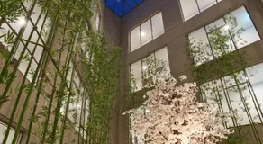Hotel the maru - Image 2