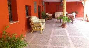 Ala Mexicana - Image 5
