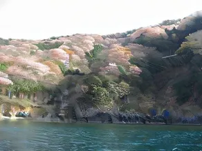 Minshuku Kyusuke - Image 2